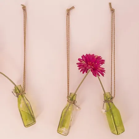 Casa Cares אורחן רג'לו